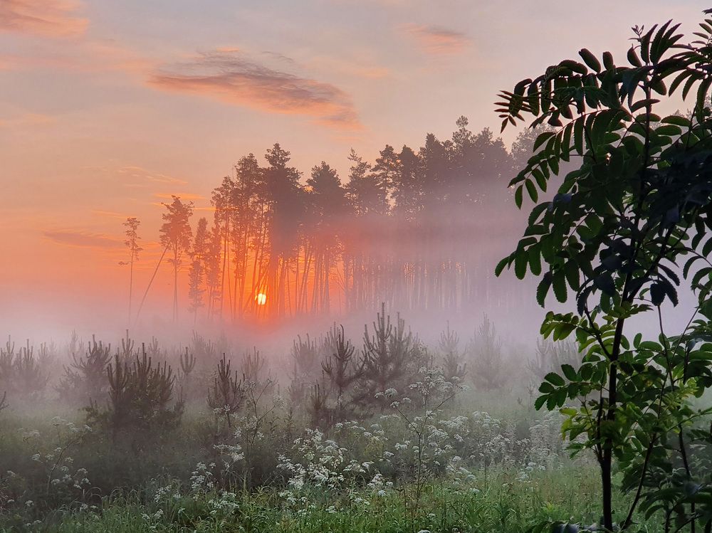 Photograph by Филипп Григорьев