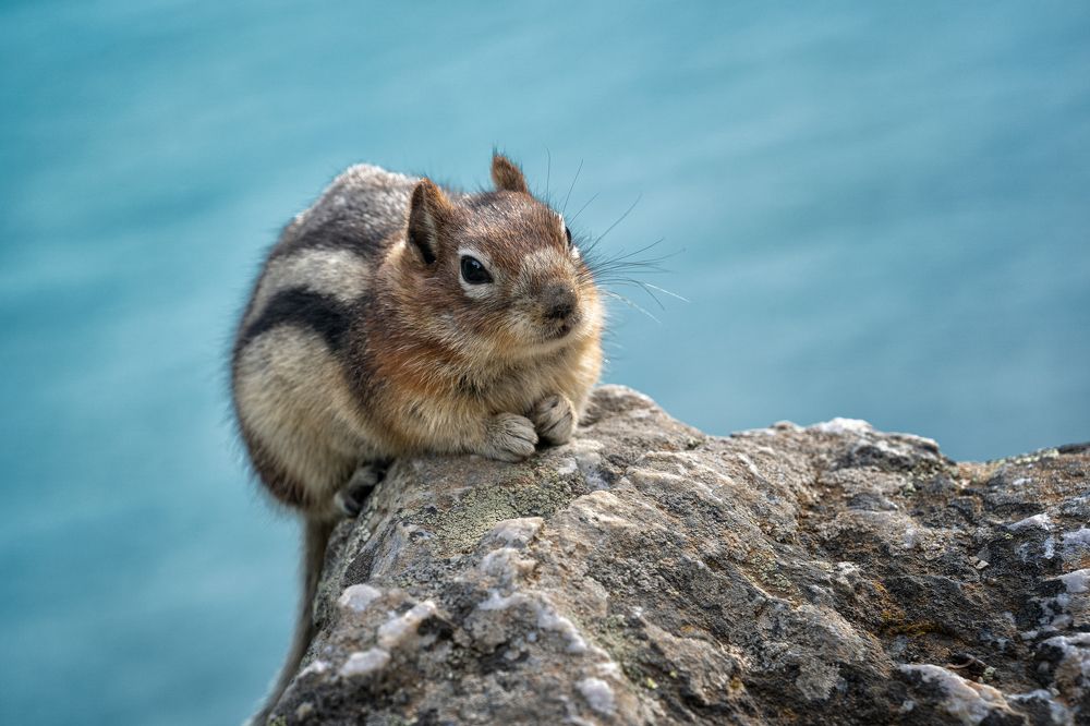 Photograph by Han Jinyi