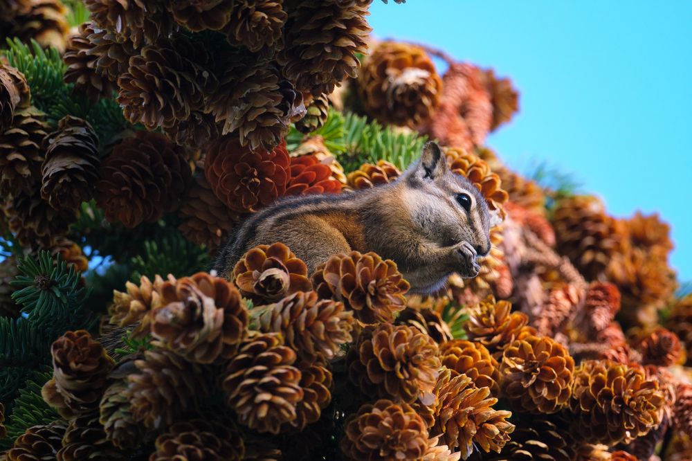 Photograph by Han Jinyi