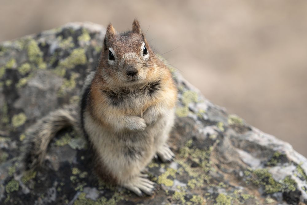 Photograph by Han Jinyi