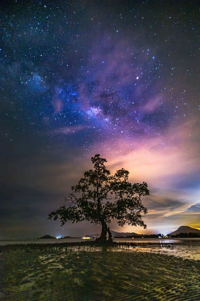 The Milky and Lone Tree