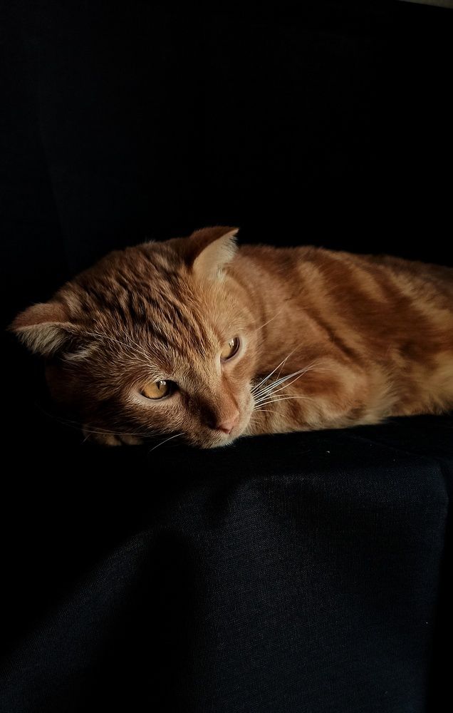 Photograph by Евгения Акишева