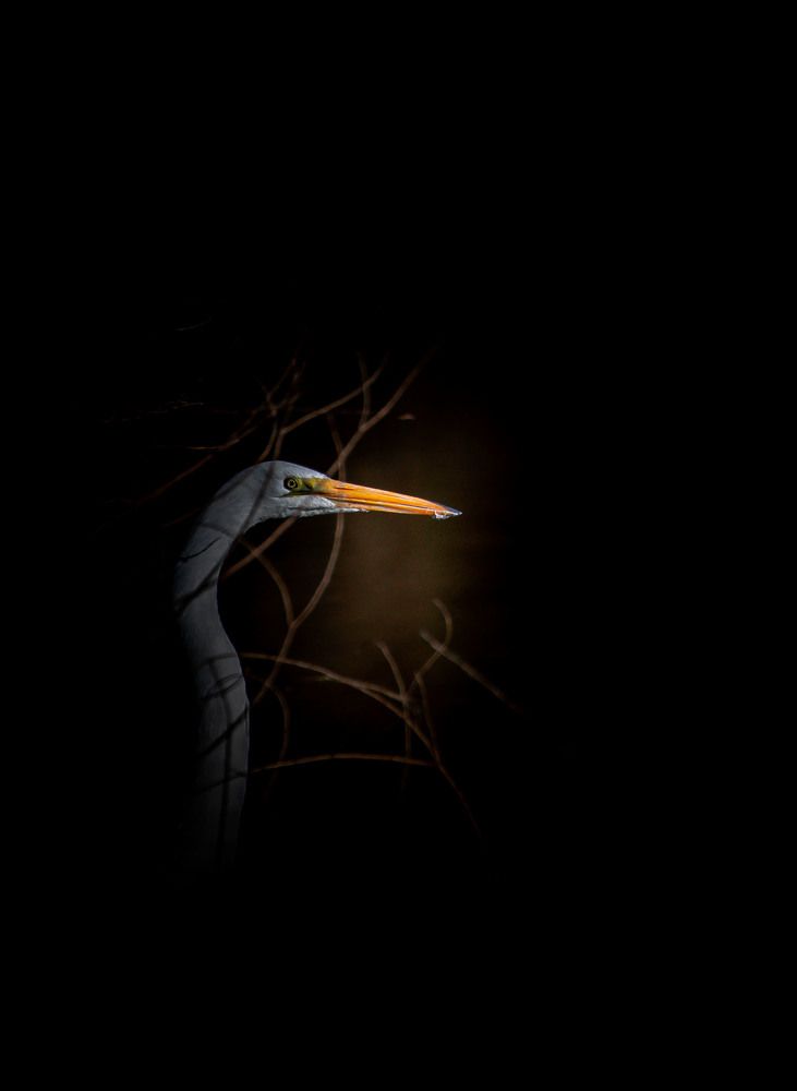 Photograph by Alex Ershov