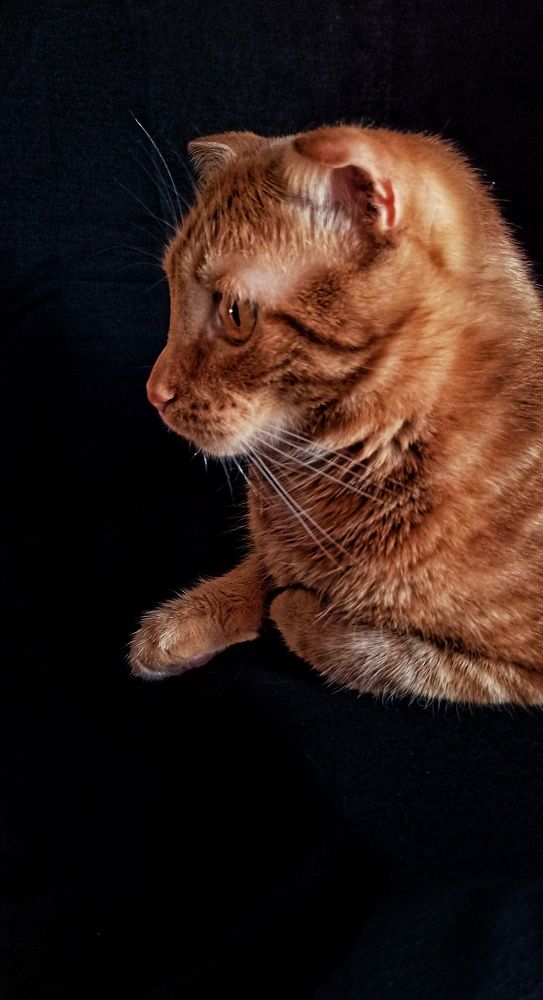 Photograph by Евгения Акишева