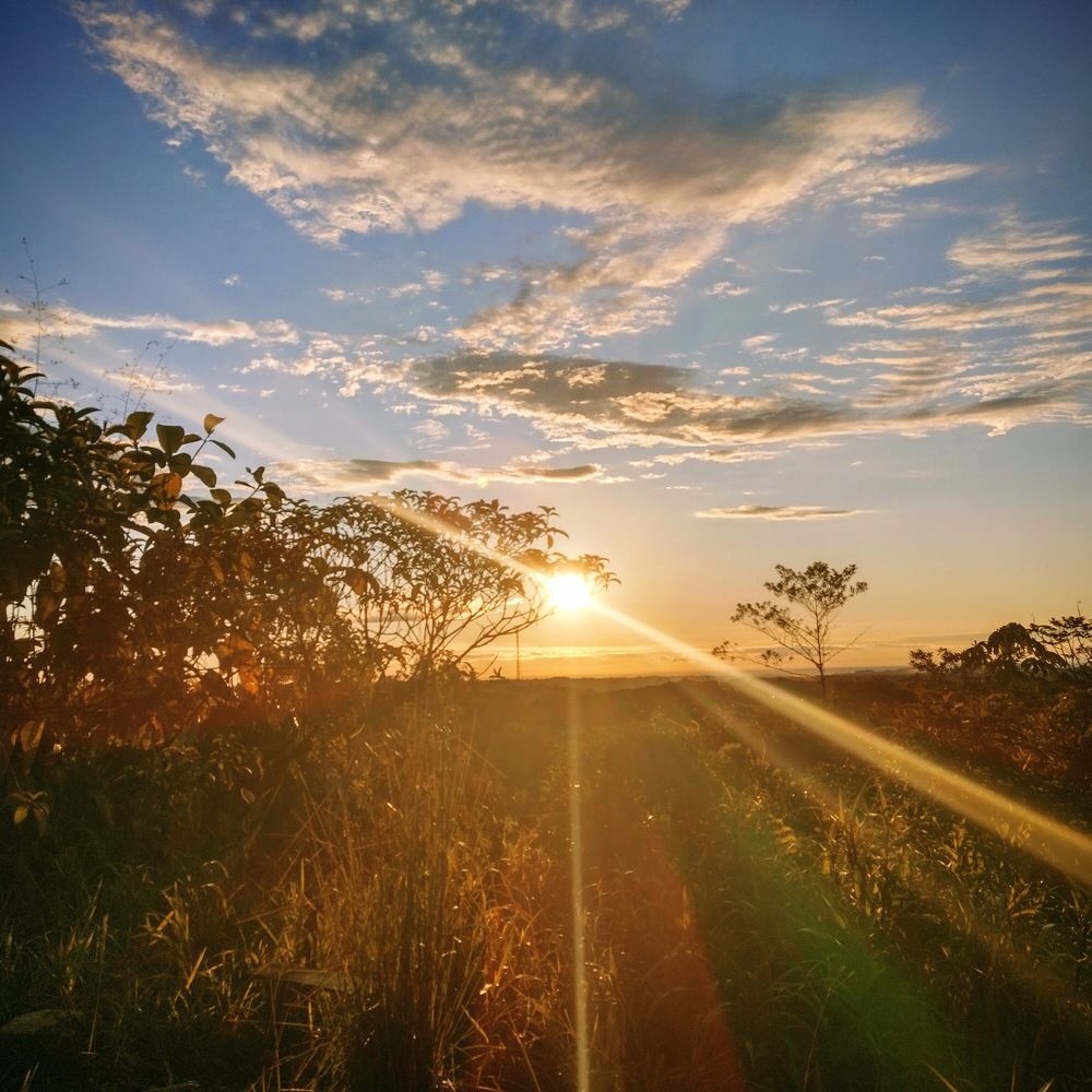 Photograph by Cristhian Medina Guerrero