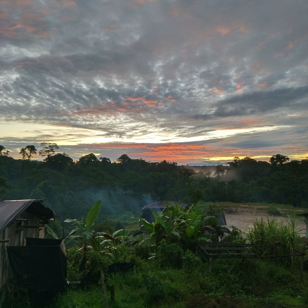 Photo #8827204