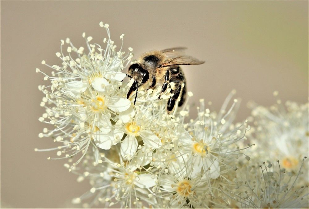 Photograph by НАТАЛЬЯ РОДИНА