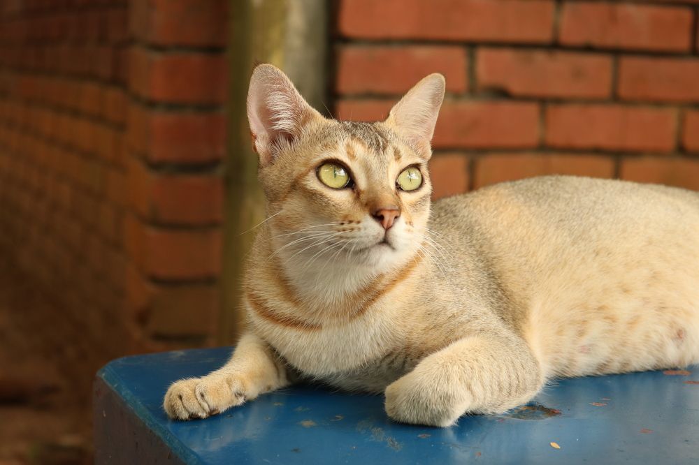 Photograph by Jishan Ahmed Plabon