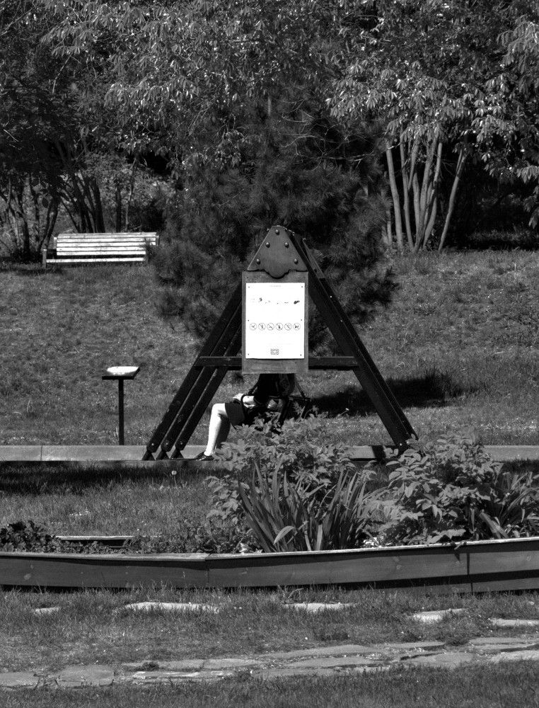 Фотография автора Максим Грибанов