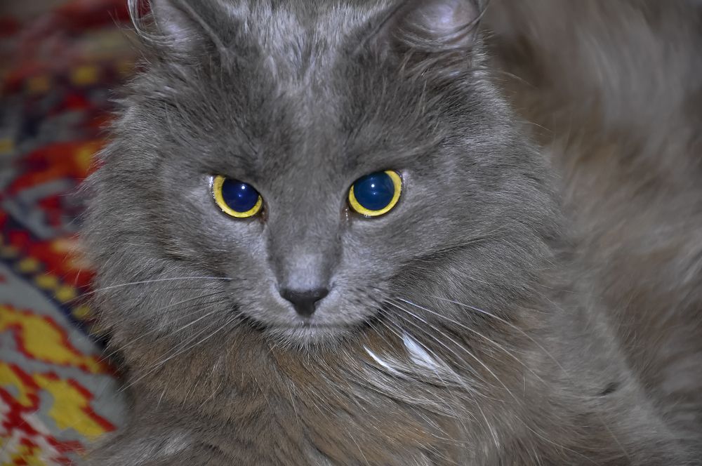 Photograph by Дроздова Наталья