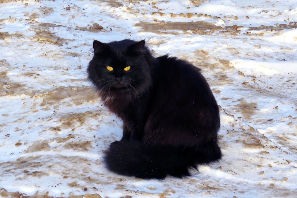 Photograph by Наташа Фишер