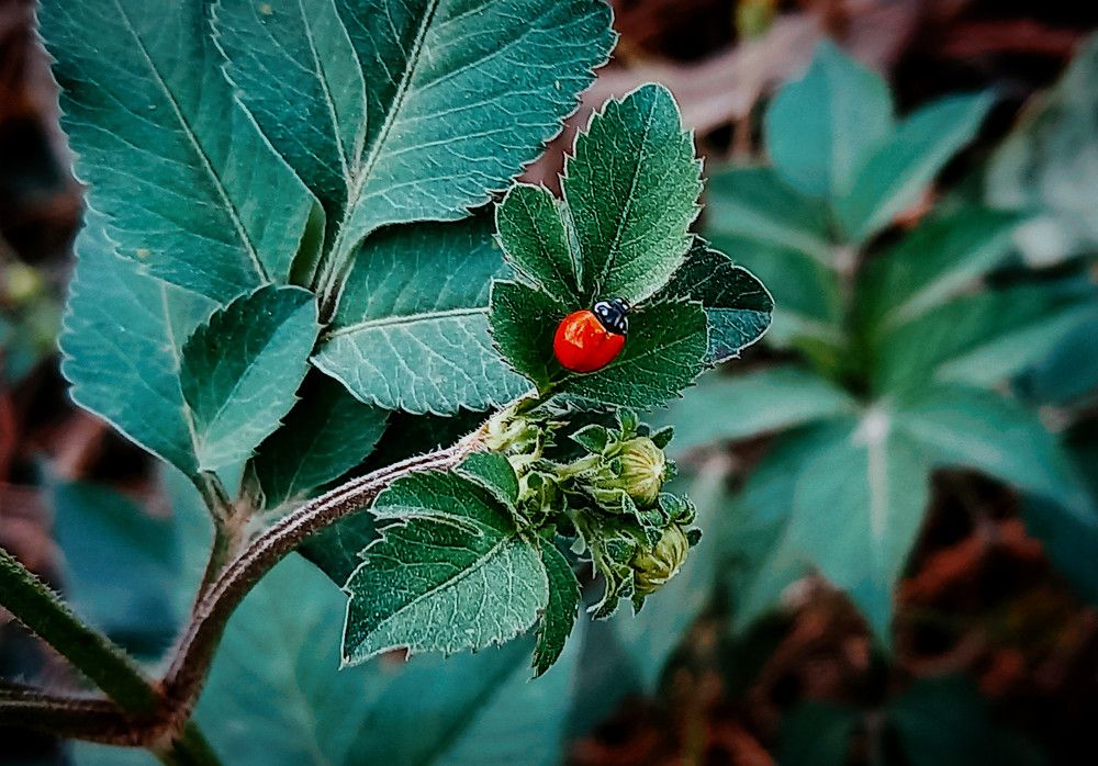 Photograph by Arelia Manderson