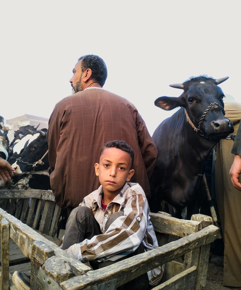 Фотография автора Ahmed Flex