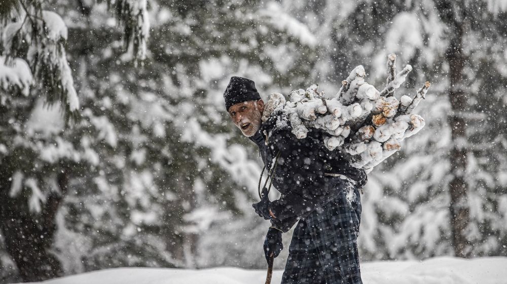 Photograph by Sujith.ch