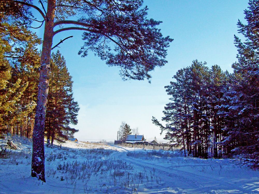Photograph by Мигун Александра