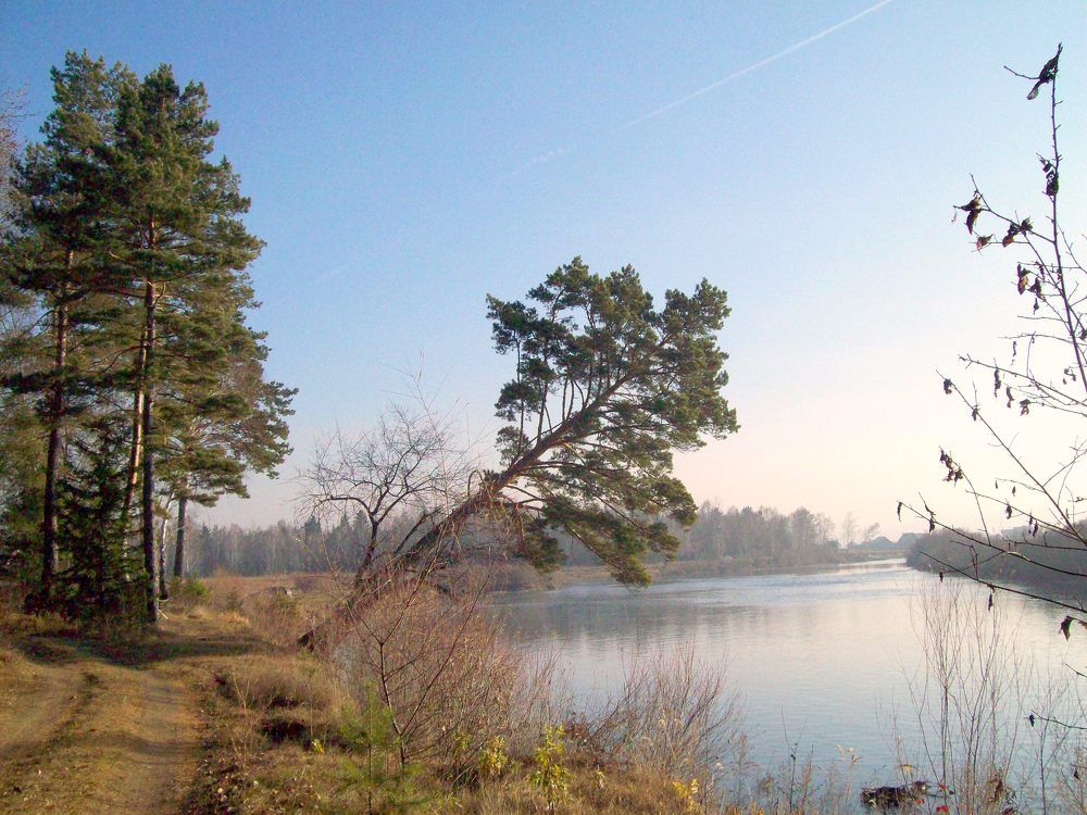 Photograph by Мигун Александра