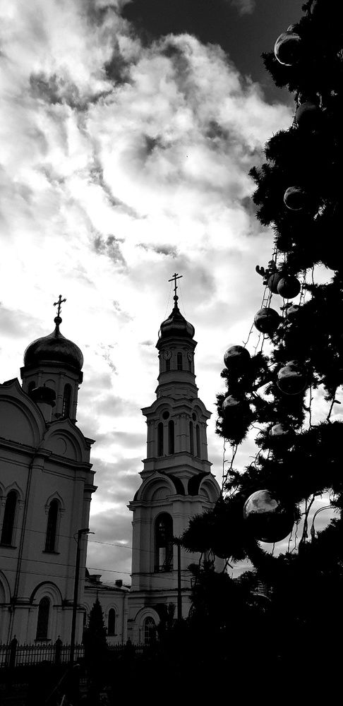 Фотография автора Ольга Мусина