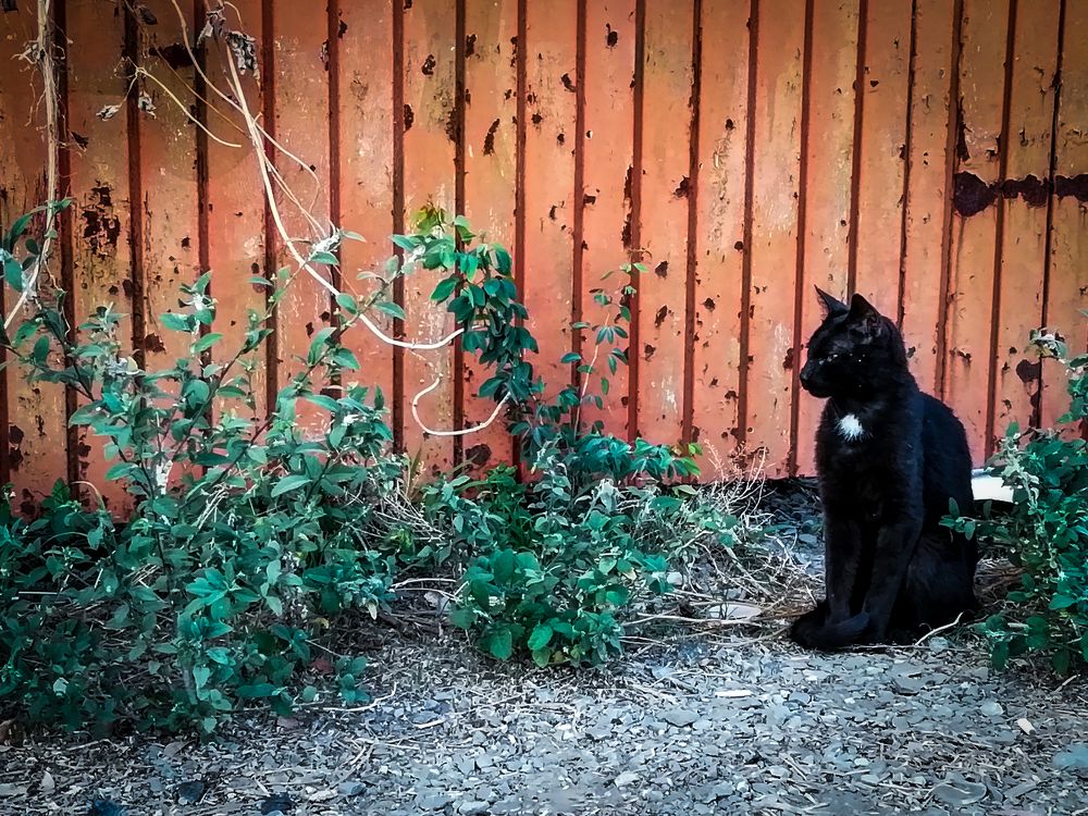 Photo #8827515
