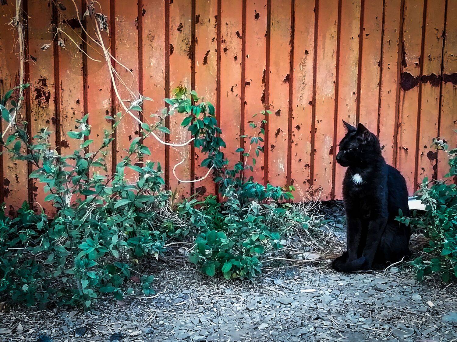 Photo #8827515