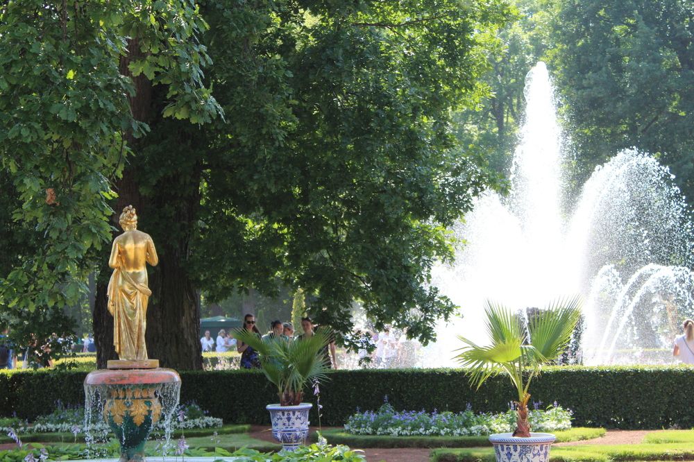 Фотография автора Наталья Шпиякина