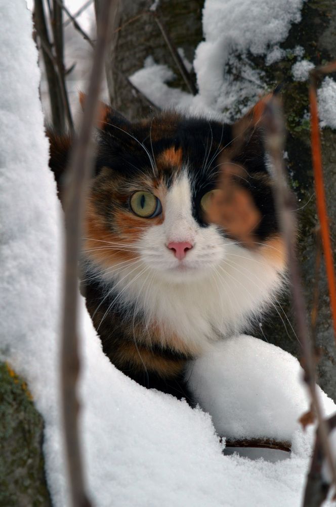 Photograph by Андрей Ушаков