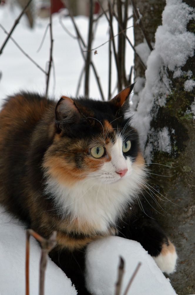 Photograph by Андрей Ушаков