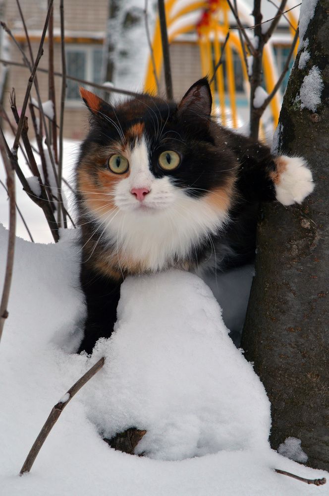 Photograph by Андрей Ушаков