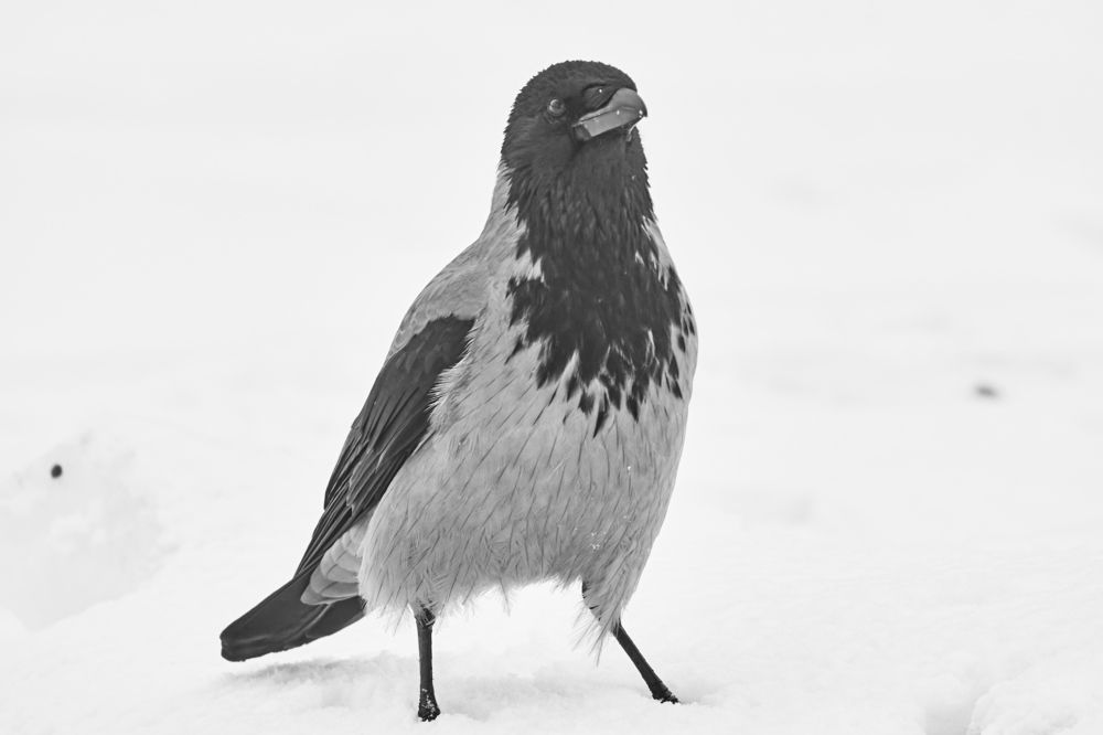 Photograph by Анна Голубова