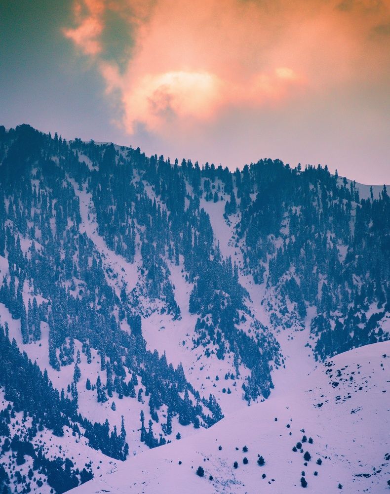 Photograph by Muneeb Najar