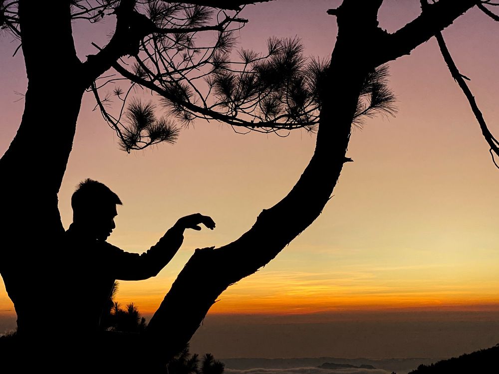 Photograph by Joel Kewan