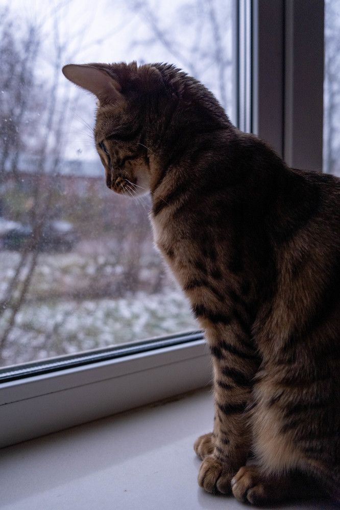 Photograph by Антон Абрамцов