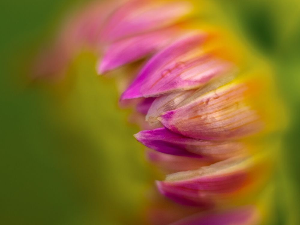 Photograph by Олег Ващилко