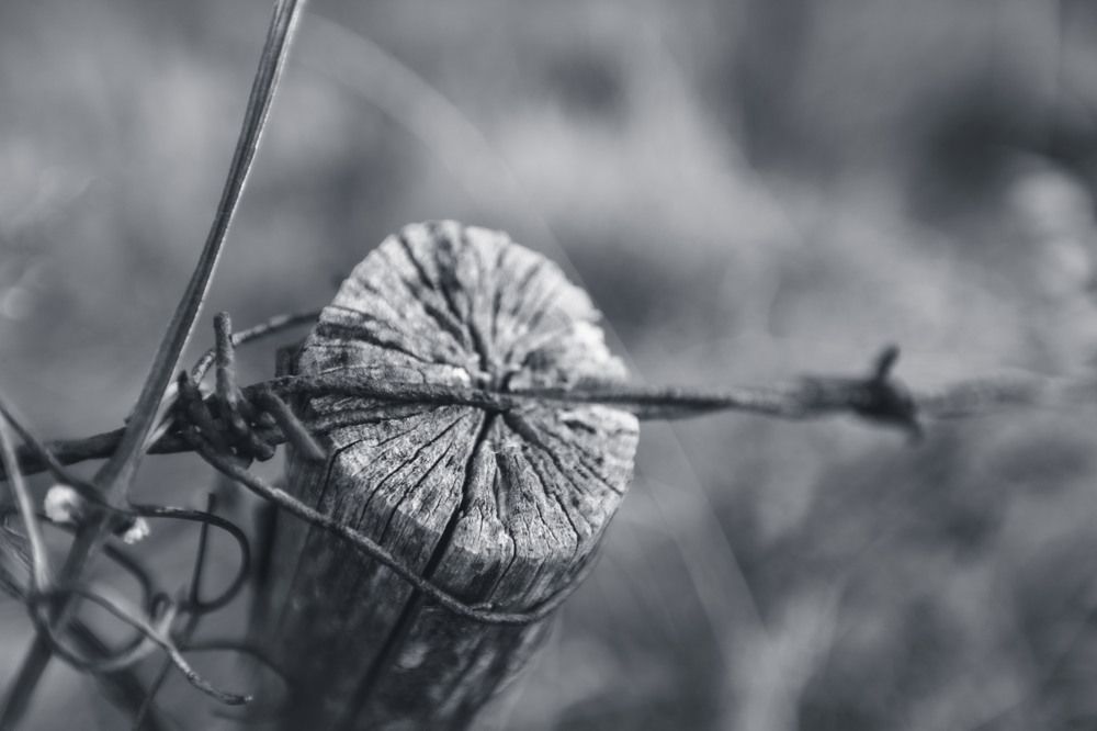 Photograph by Daniel Chobanov