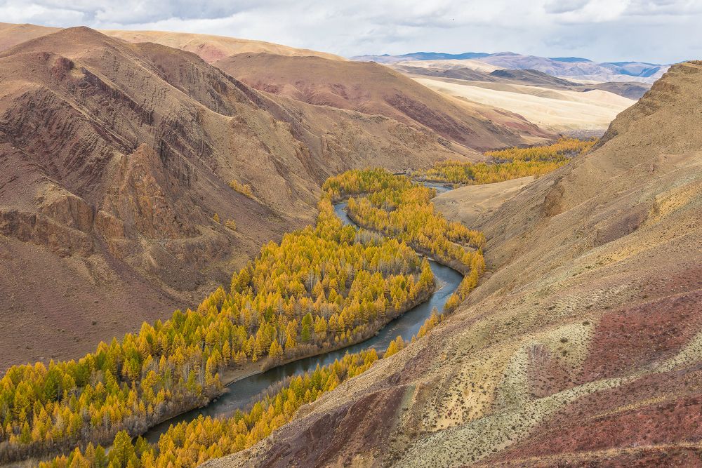 Photograph by Татьяна