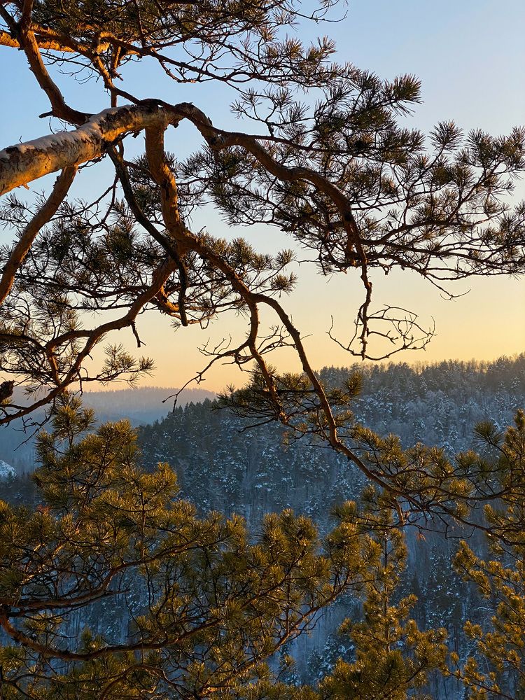 Photograph by Швай Наталья