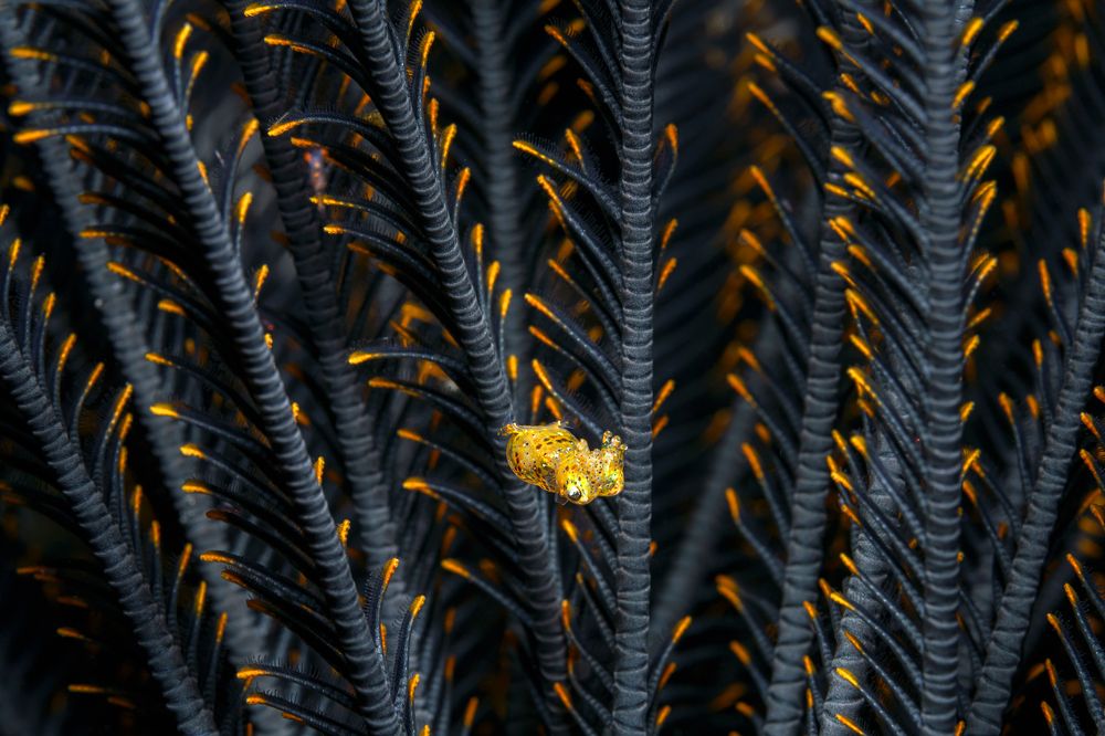 Photograph by Савин Андрей