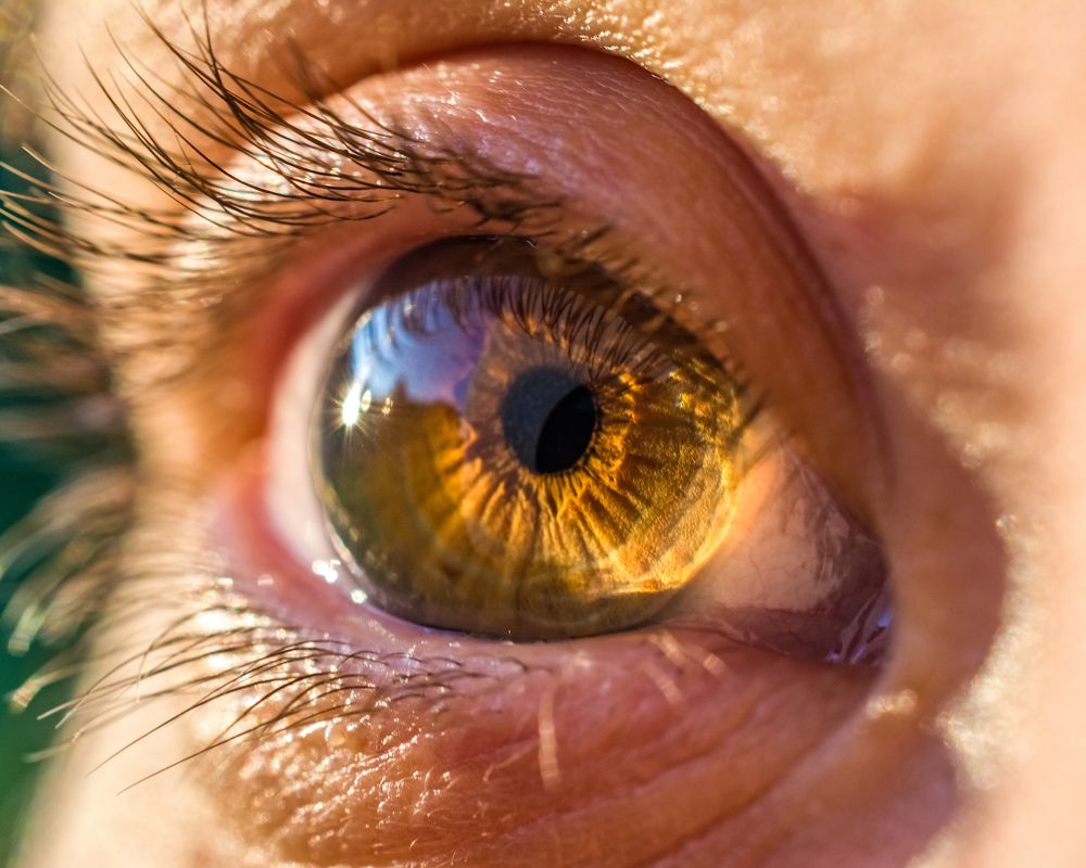 Photograph by Николай Головко