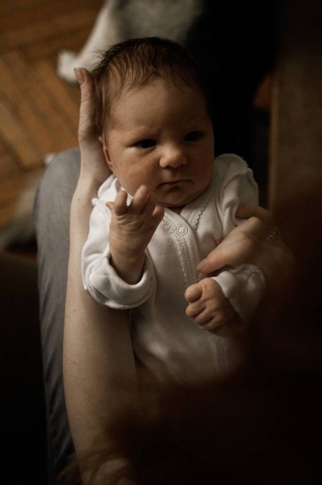 Домашние истории