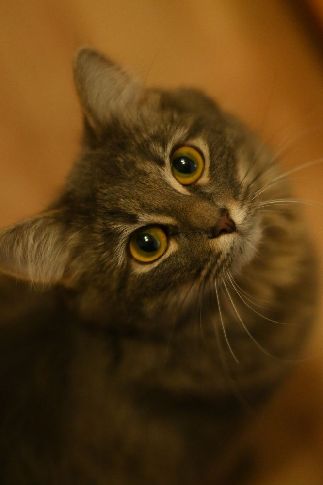 Photograph by Ирина Клименко