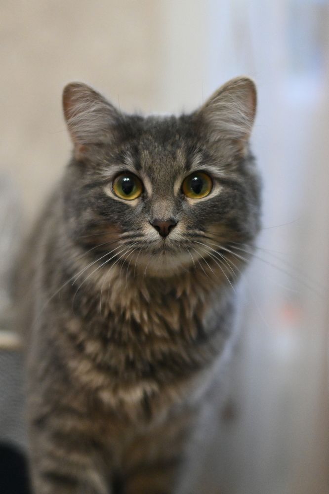 Photograph by Ирина Клименко