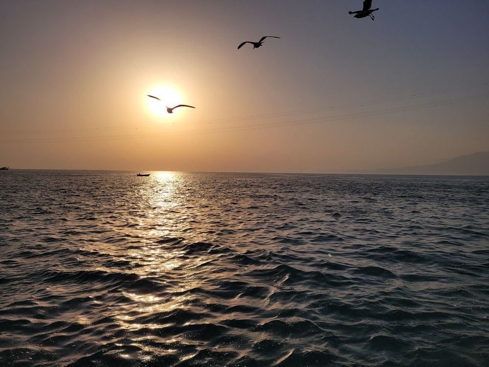 Photograph by najmeh hakimaei