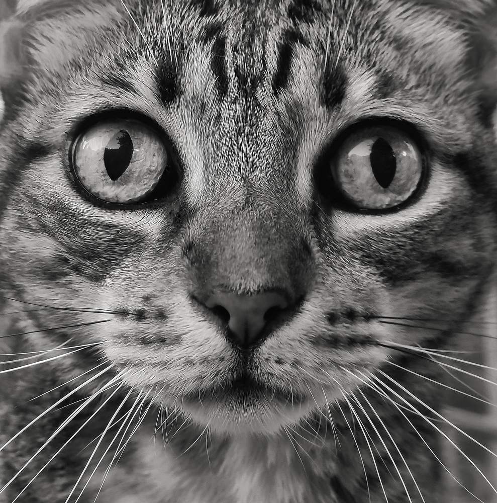 Photograph by Lucia Villalon Hernandez