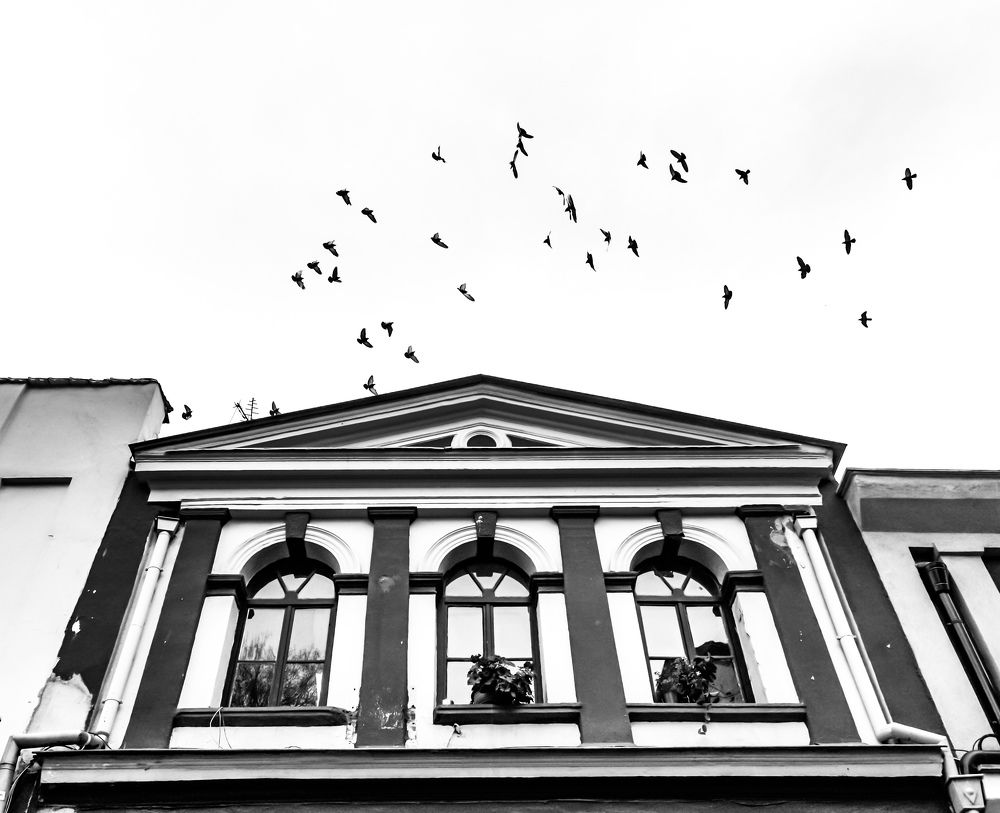 Photograph by Николай Драганов