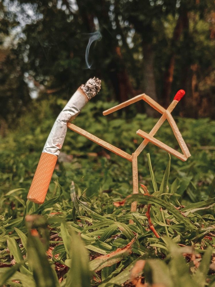 Photograph by শাখাওয়াত হোসেন