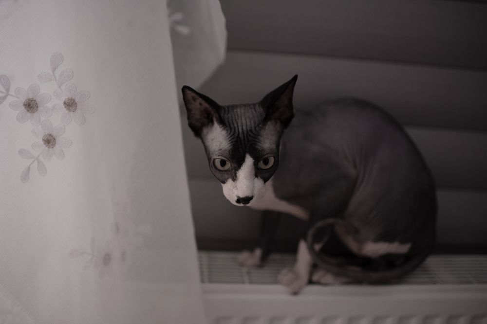 Photograph by Анна Новосельцева