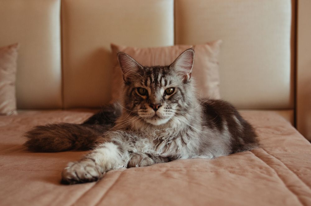 Photograph by Татьяна Москаленко