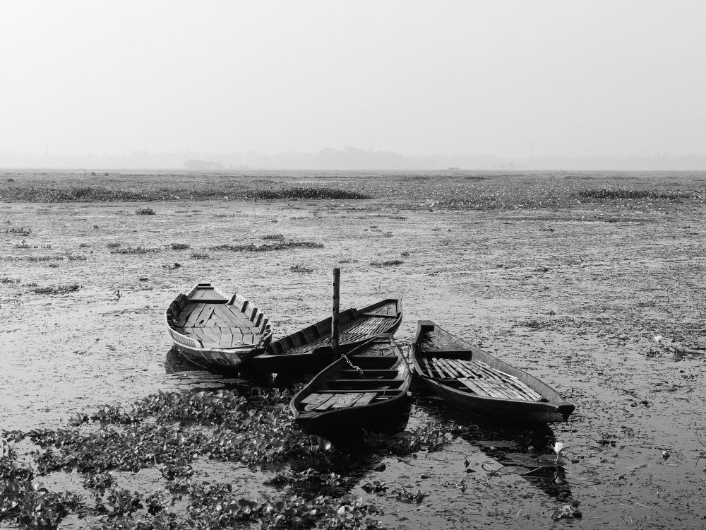 Photograph by Shubhradeep Das