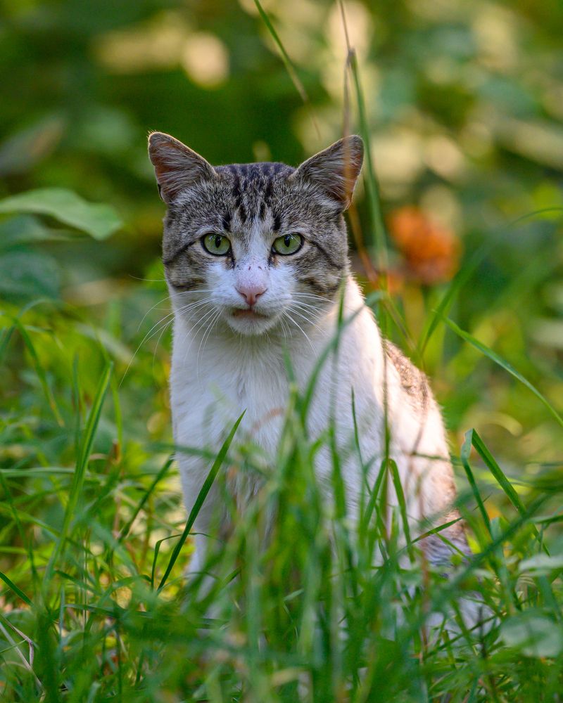 Photograph by Вячеслав Белов