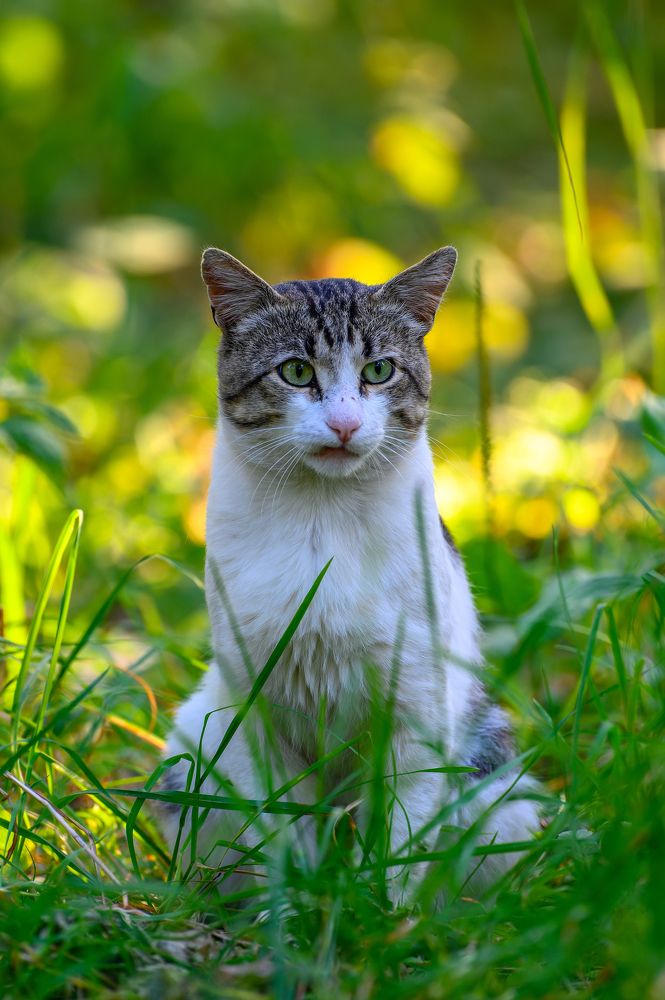 Photograph by Вячеслав Белов