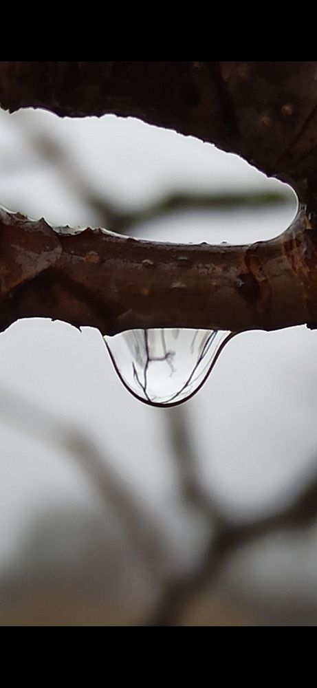 Photograph by Людмила Щуцкая